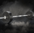 Everfit 28kg Barbell Set