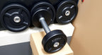 Everfit 2x10kg Weight Plates Set