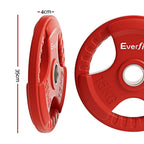 Everfit Olympic Weight Plates 15kg x2
