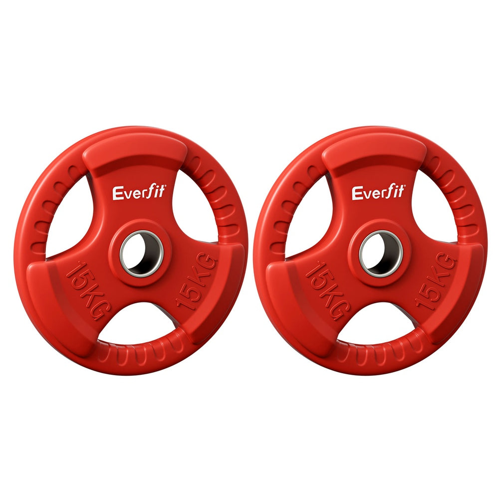 Everfit Olympic Weight Plates 15kg x2