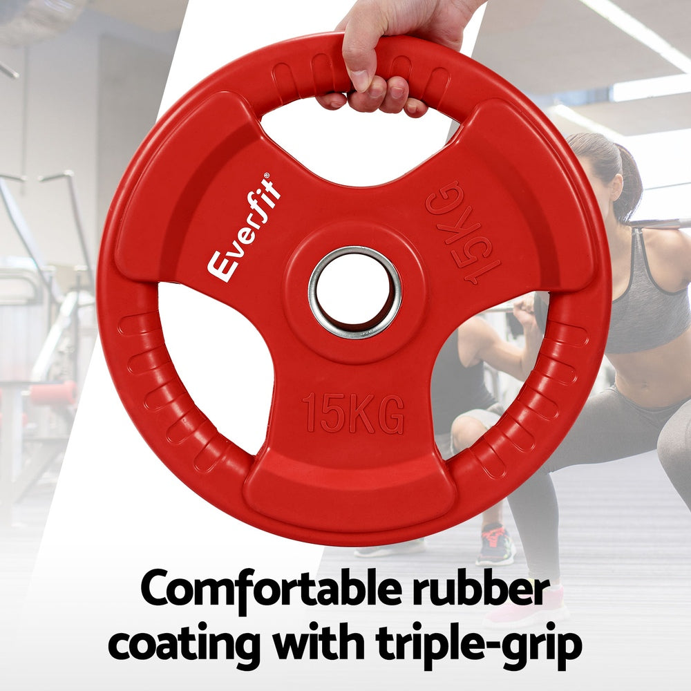 Everfit Olympic Weight Plates 15kg x2