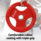 Everfit Olympic Weight Plates 15kg x2